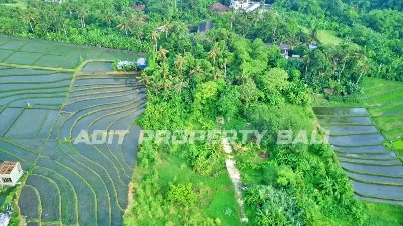 Tanah View Sawah Pantai Nyanyi Kediri Tabanan - Image 2 of 10