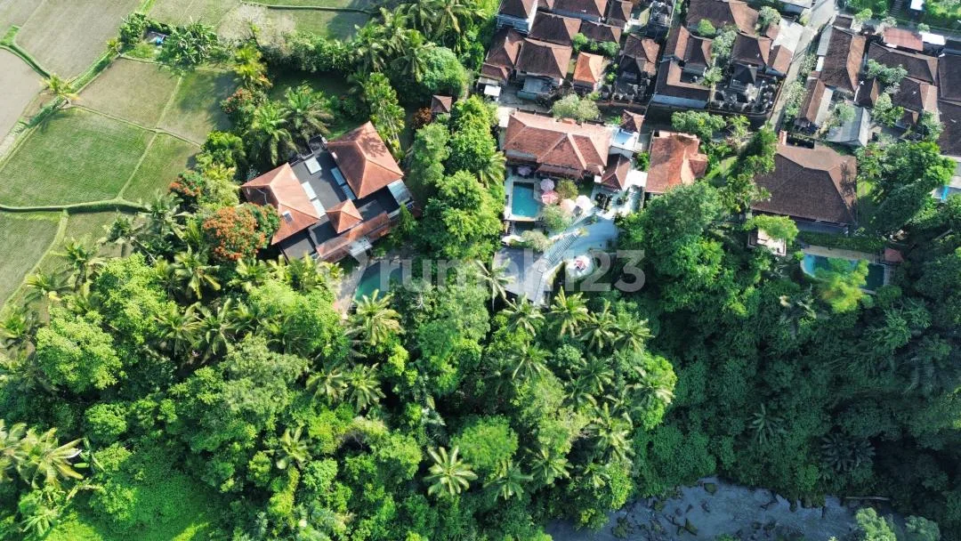 Dijual Villa Mewah Los Sungai Petanu - Ubud View Hutan & Sawah - Image 1 of 4