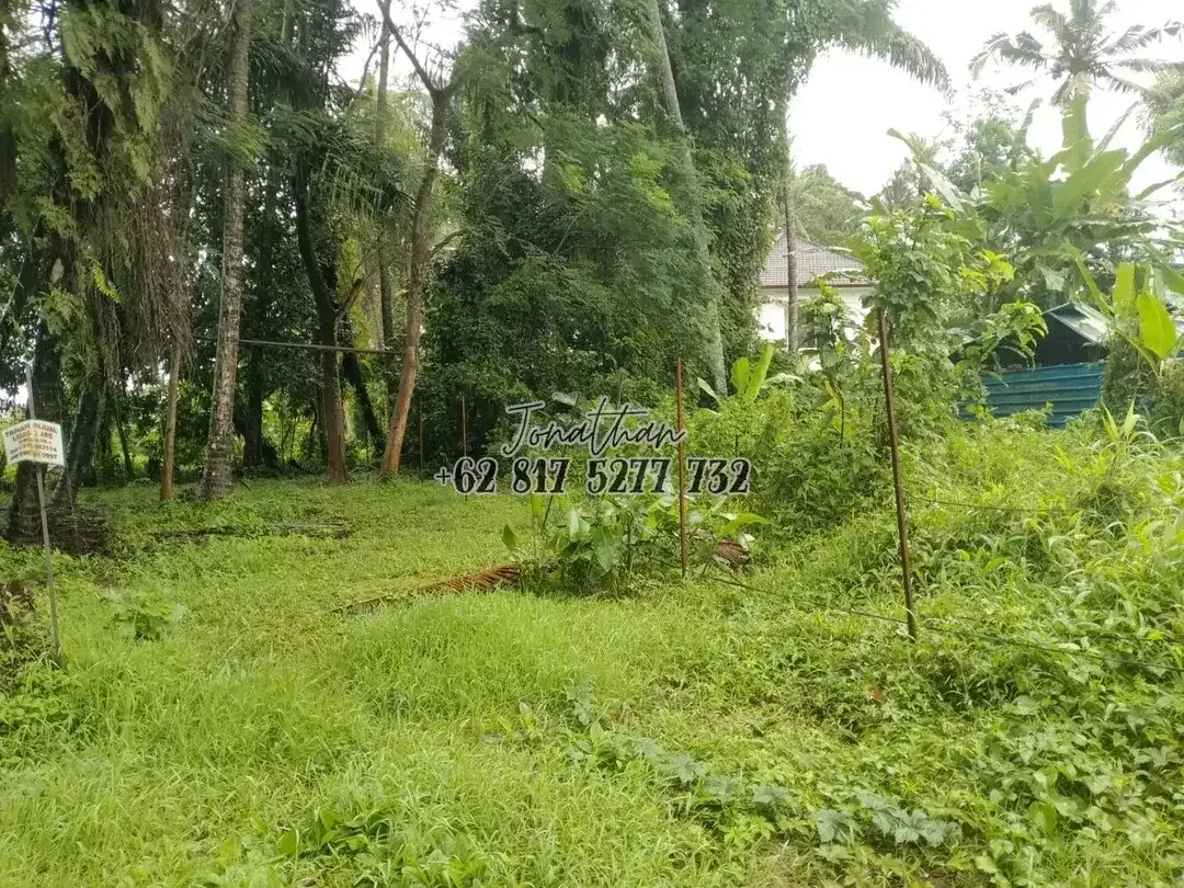 Tanah 300 m2 Zona Kuning Singakerta Ubud Siap Bangun - Image 1 of 6