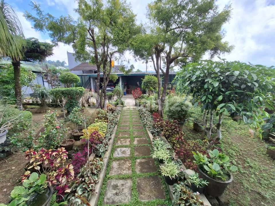 Tanah & Rumah Dijual di Baturiti Bedugul Bali | 1.640 M² View Indah & Sejuk - Image 3 of 4