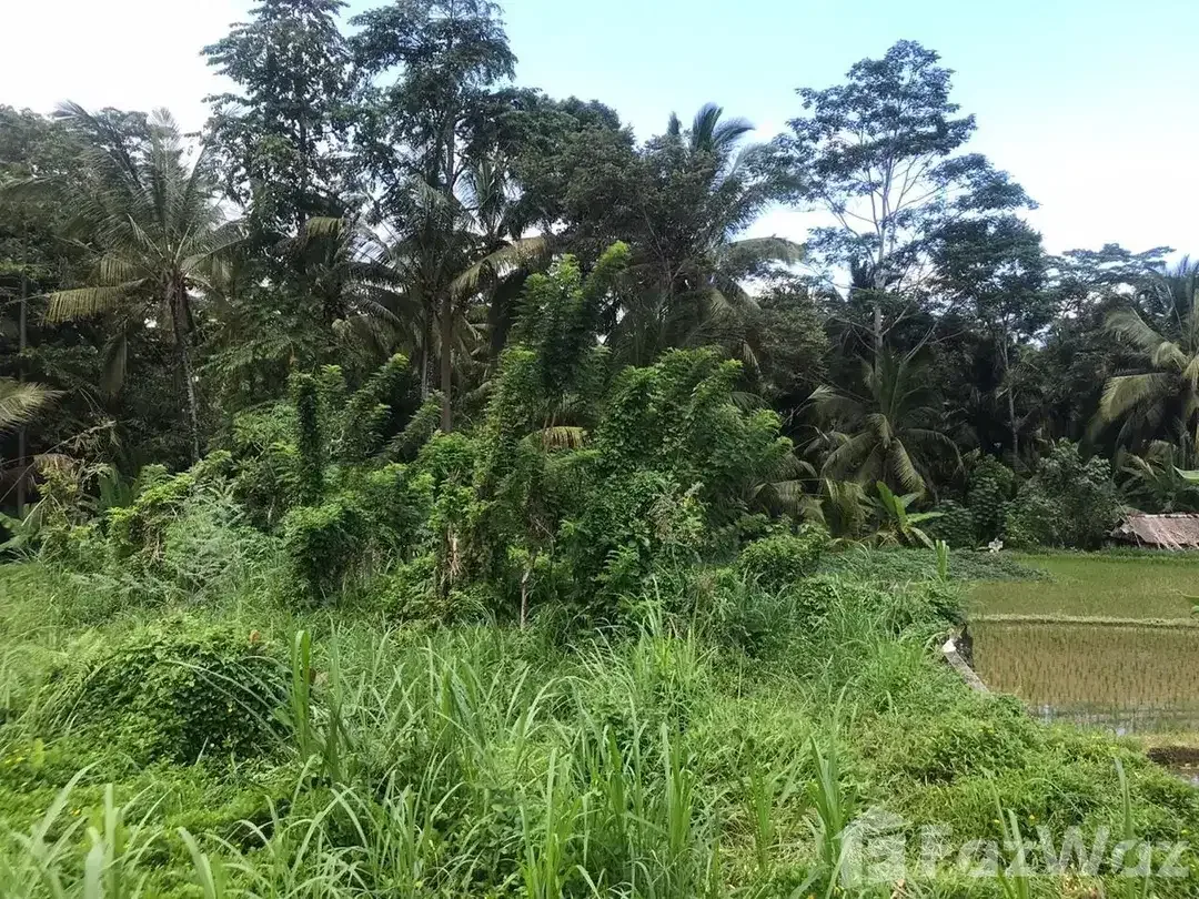 3 Bedroom Villa for sale in Tampak Siring, Bali - Image 6 of 9