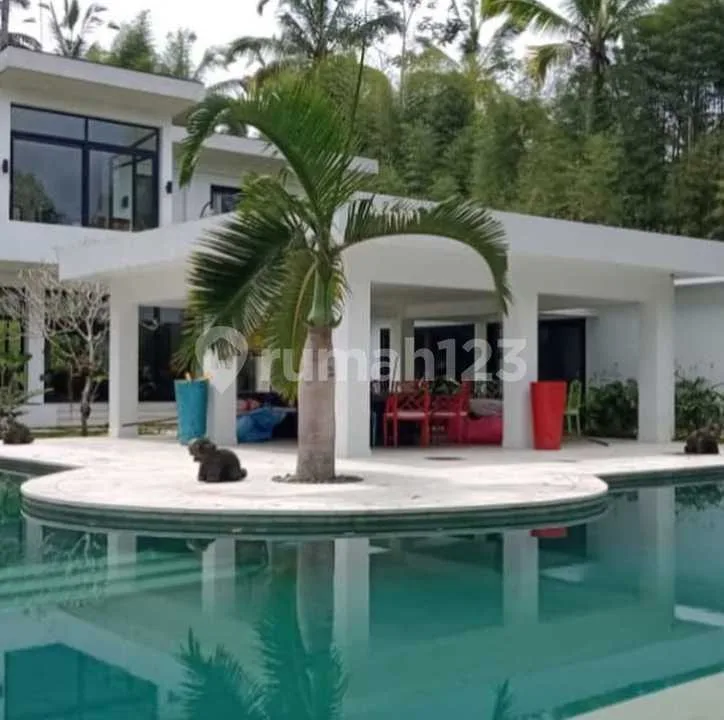 Dijual Cepat Villa Modern View Lembah di Ubud, Gianyar - Image 4 of 4