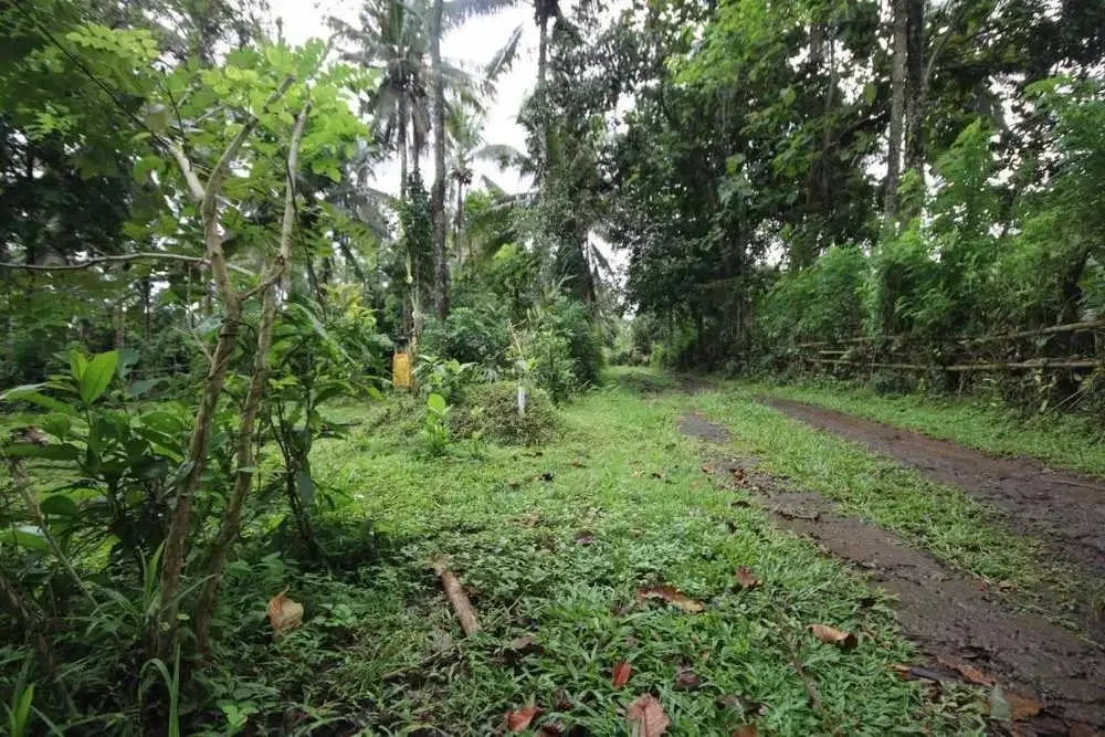 DIJUAL TANAH KEBUN COCOK UNTUK PERUMAHAN - Image 4 of 7