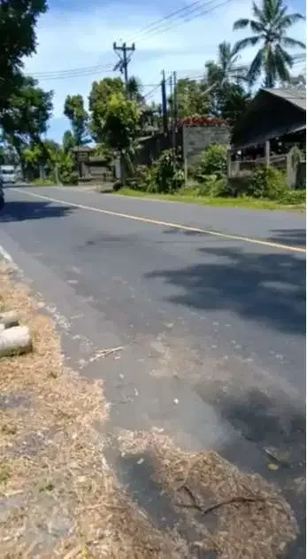 DIJUAL TANAH PINGGIR JALAN RAYA BATURITI BEDUGUL - Image 5 of 7