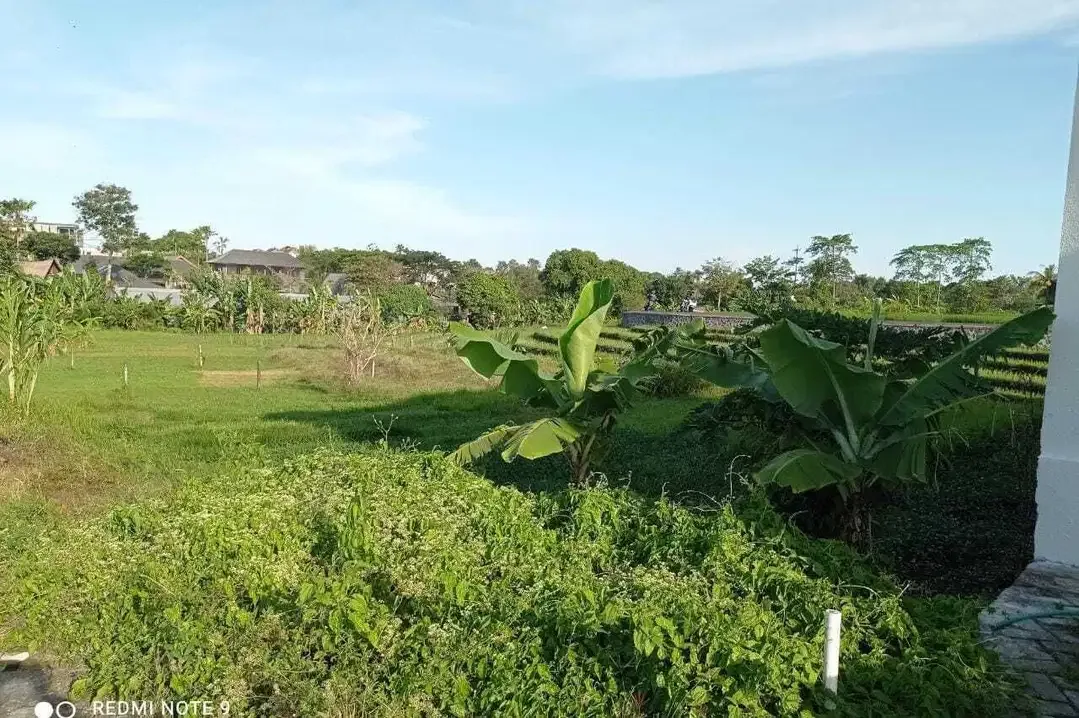 Tanah View Sawah Terasering Dekat Pantai Berawa Canggu - Image 6 of 10