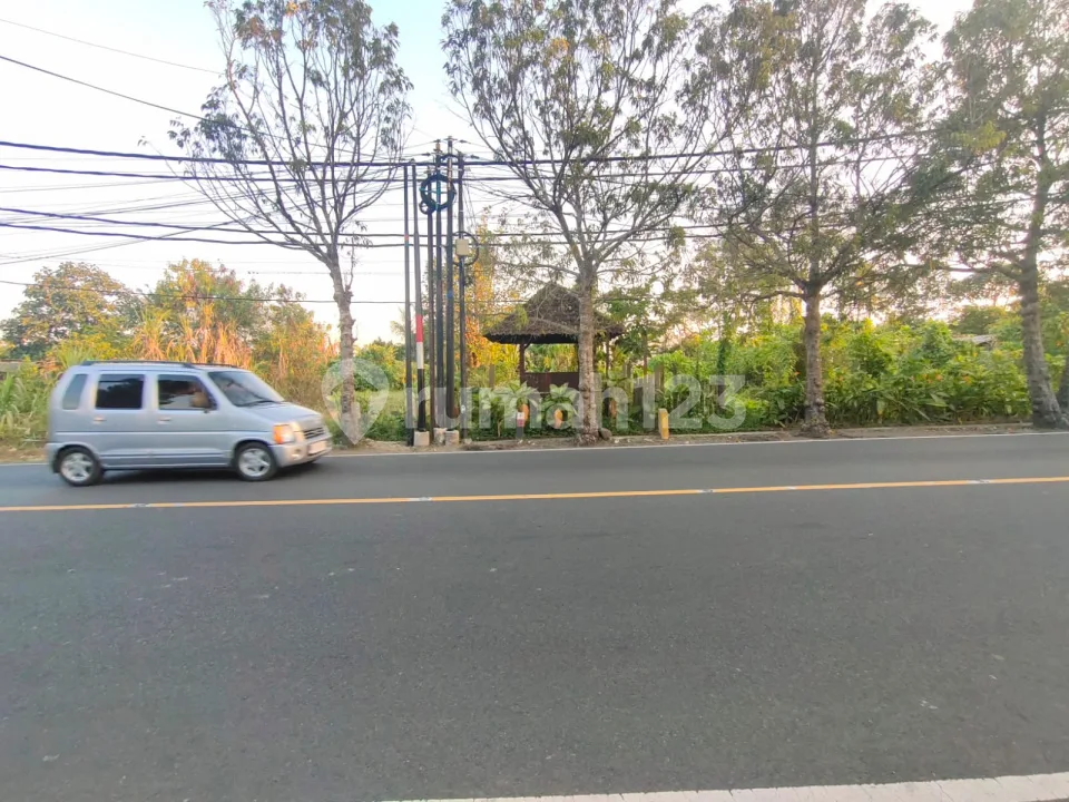 Di Jual Lahan Jalan Utama Ubud SHM View Sungai dan Sawah - Image 4 of 4