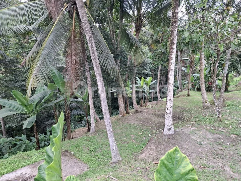 Tanah dan Villa Tepi Sungai Ubud - Image 4 of 4