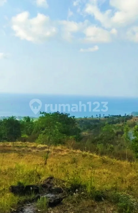 1,37 Hektar Tanah View Laut Shm Cempaga Banjar Buleleng Bali - Image 2 of 4