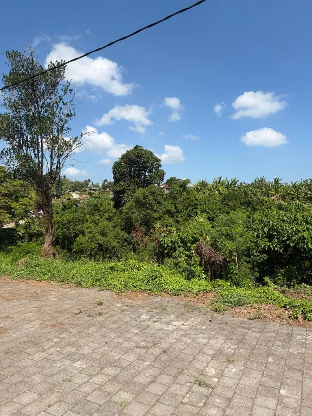Dijual tanah di Kedungu BALI  6.16 are - Zona Kuning View Sawah - Image 5 of 6
