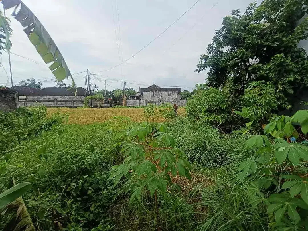 Dijual tanah lokasi di singapadu jalur dekat ke Ubud - Image 2 of 5