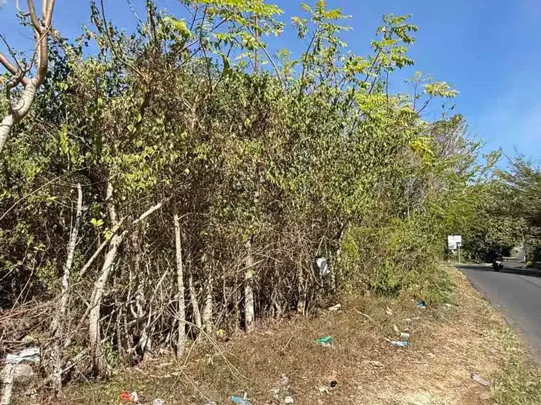DIJUAL TANAH STRATEGIS DI DEPAN i-Villa GOA GONG – UNGASAN, BALI - Image 8 of 10