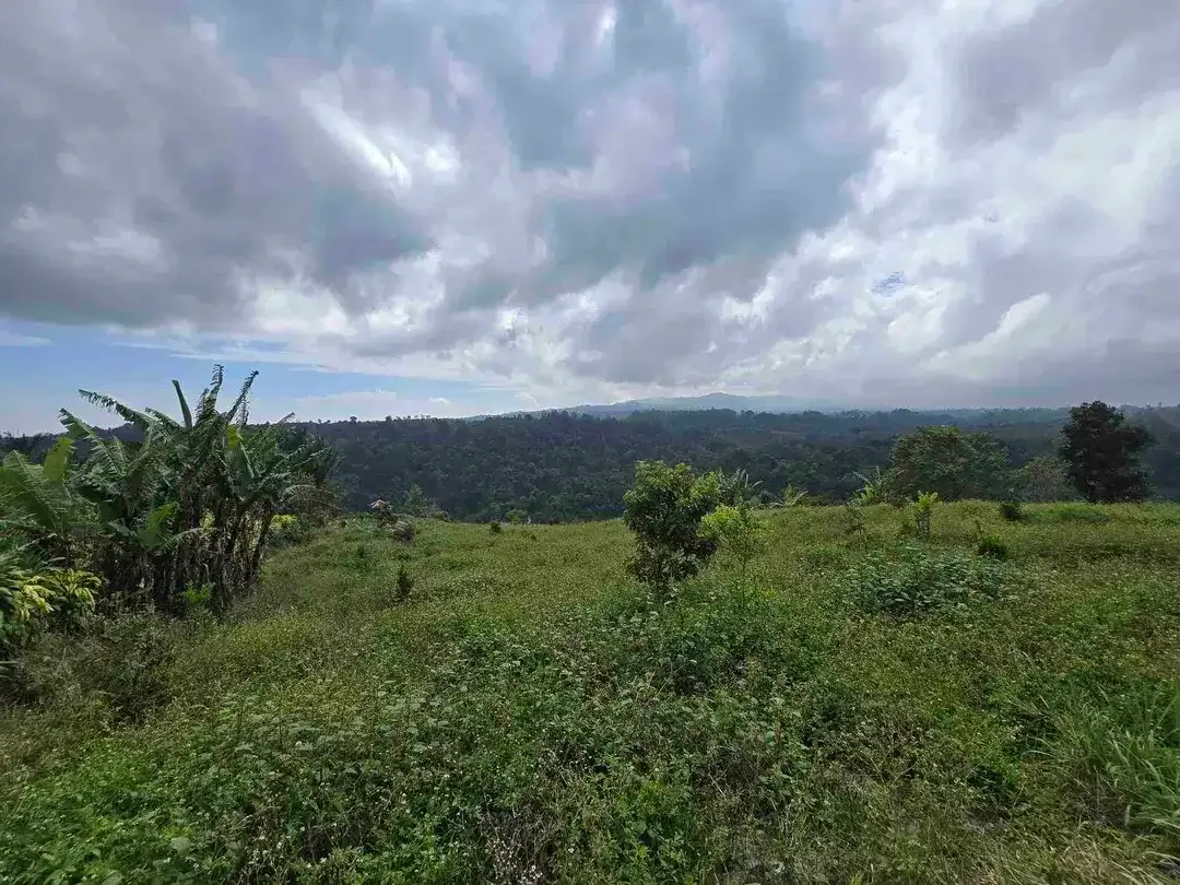 Dijual tanah view lembah sangat cantik di kintamani bali - Image 10 of 10