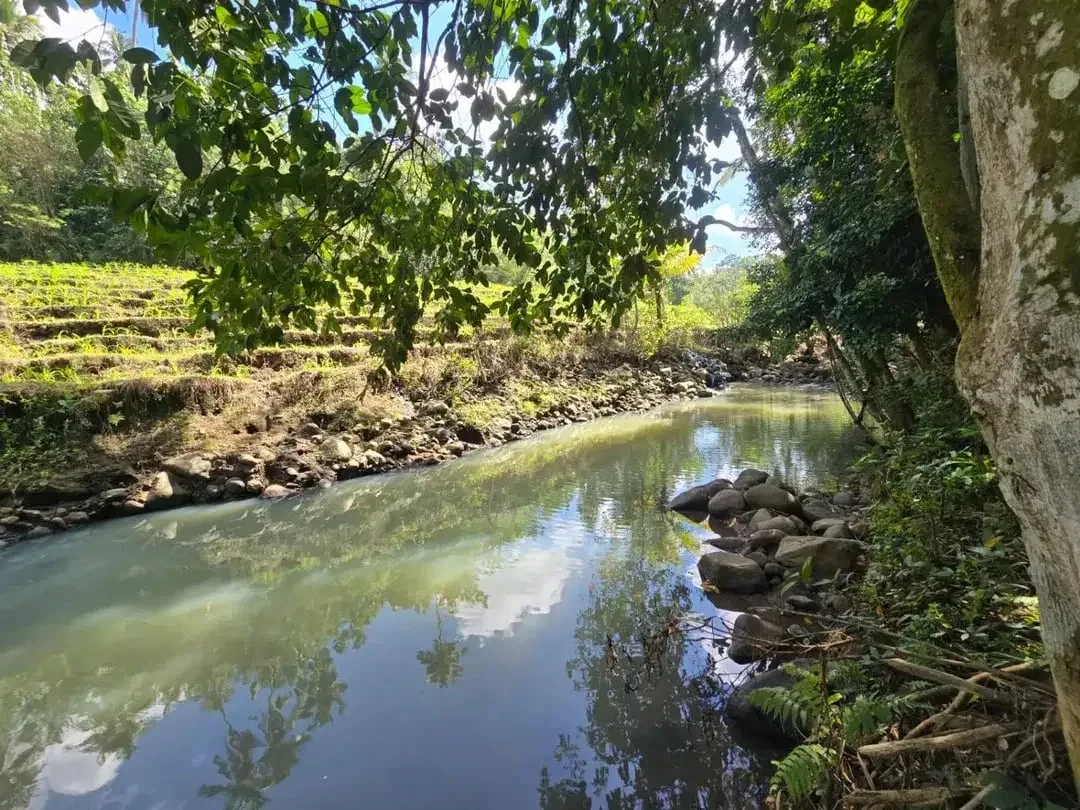 DIJUAL TANAH MURAH DI TABANAN - Image 1 of 10
