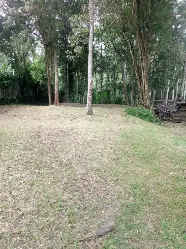 3500 land for sale in the edge or river in munggu bali - Image 6 of 7