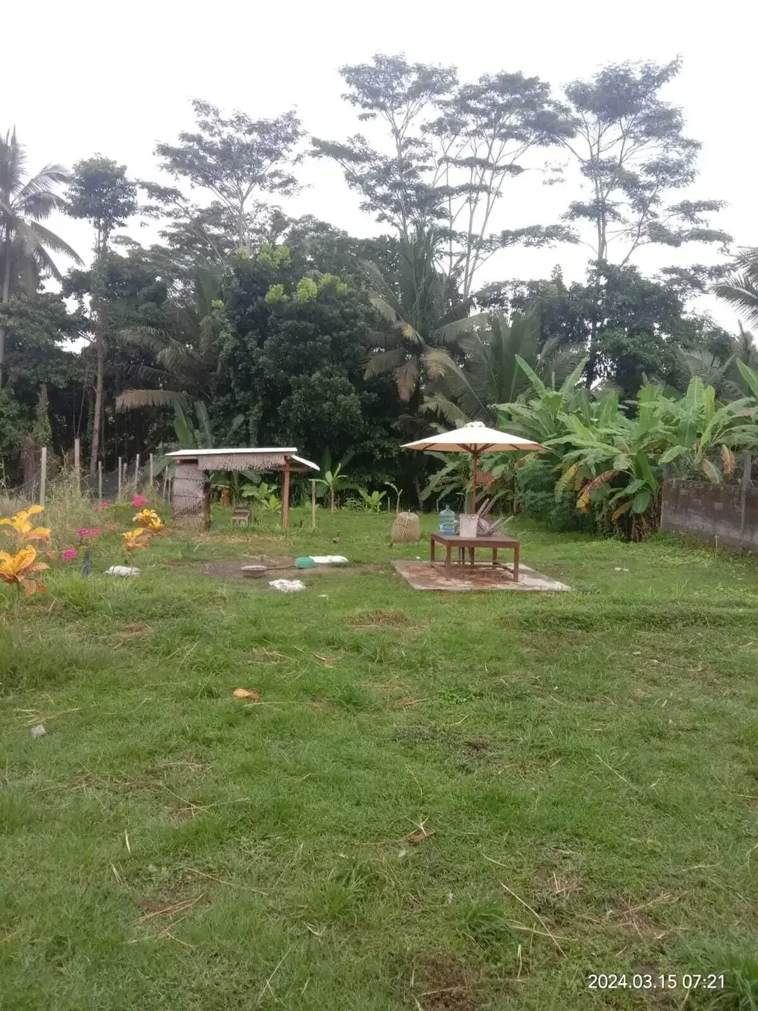 Dijual Tanah View Sawah di Desa Buahan, Tabanan - Image 1 of 3
