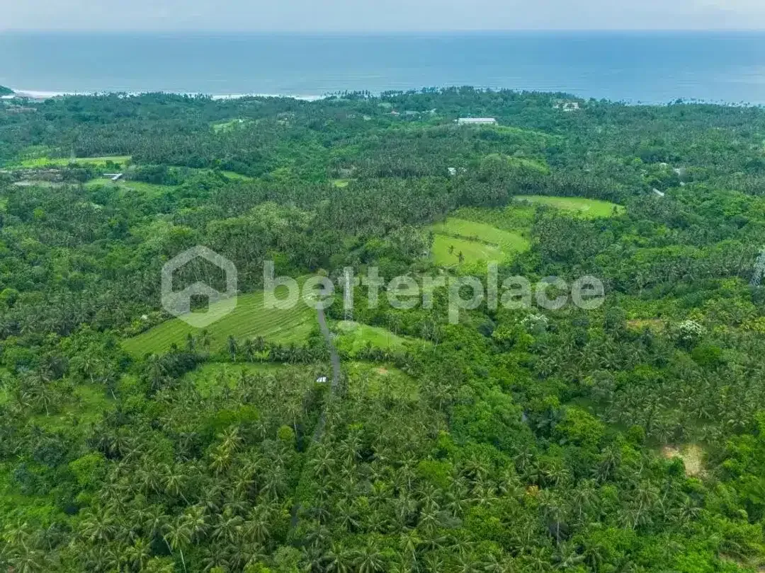 Prestigious 23.9 are Freehold Jungle Land in Balian – A Rare Investment Opportunity Blending Natural Serenity with Coastal Elegance - Image 7 of 10
