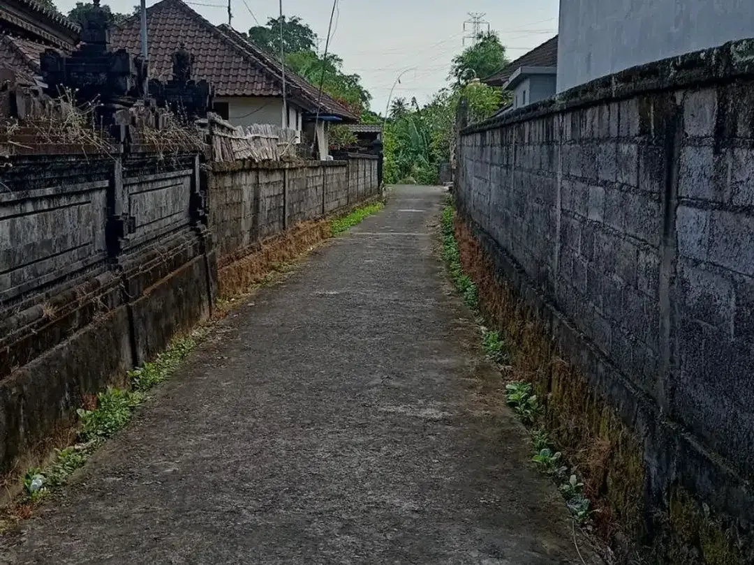 Freehold - 3050 Sqm Riverside View Beyond Canggu - Image 5 of 5