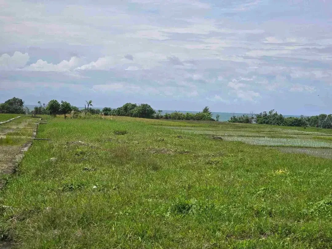dijual tanah kecil view laut sawah di pantai pasut tabanan bali - Image 1 of 10