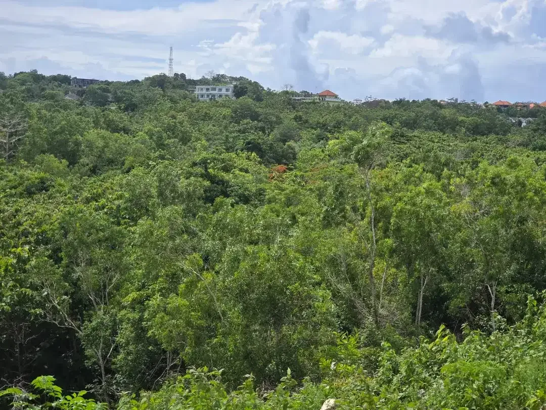 FOR SALE – Tanah Premium 1,66 Ha di Cemongkak Pecatu, Uluwatu Bali | Ocean View | SHM/Freehold | Villa Area - Image 7 of 10