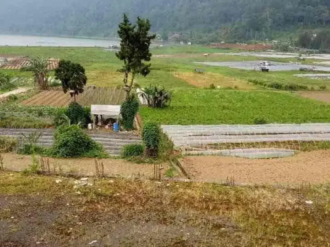 Di jual tanah bonus villa berada di desa pancasari Bedugul bali - Image 5 of 6