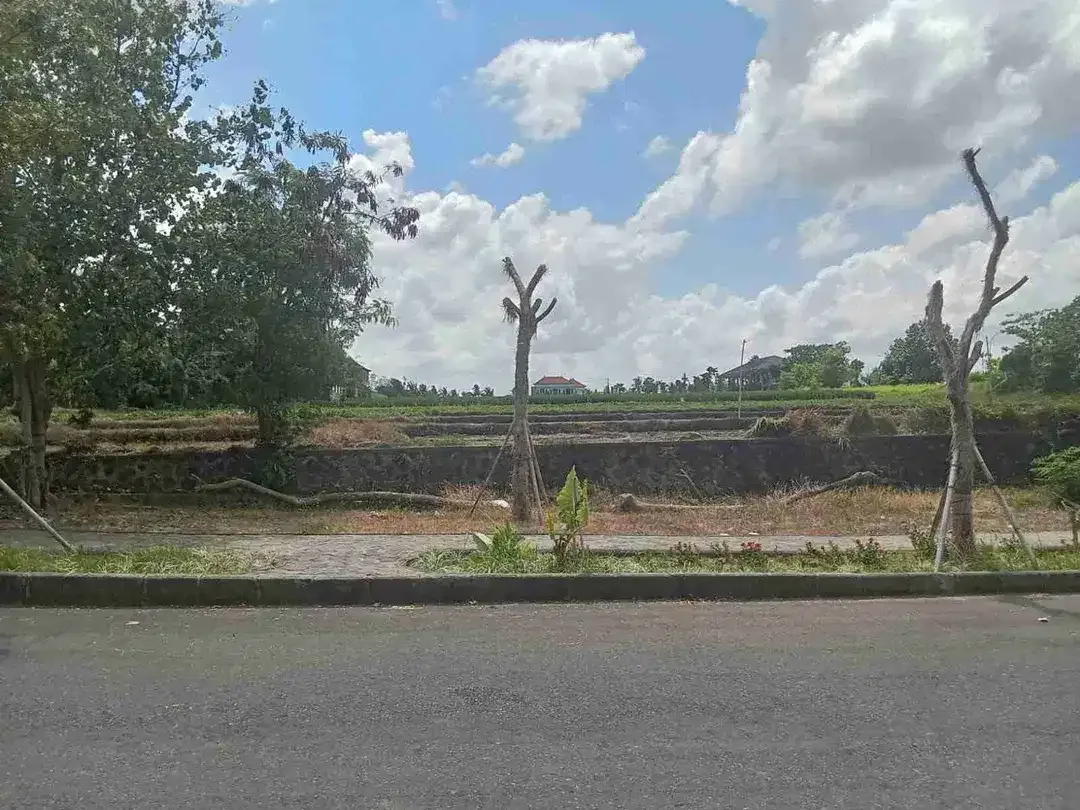 Tanah Prime View Sawah Di Ciputra Resort Pangkung Tibah Kediri Tabanan - Image 8 of 10