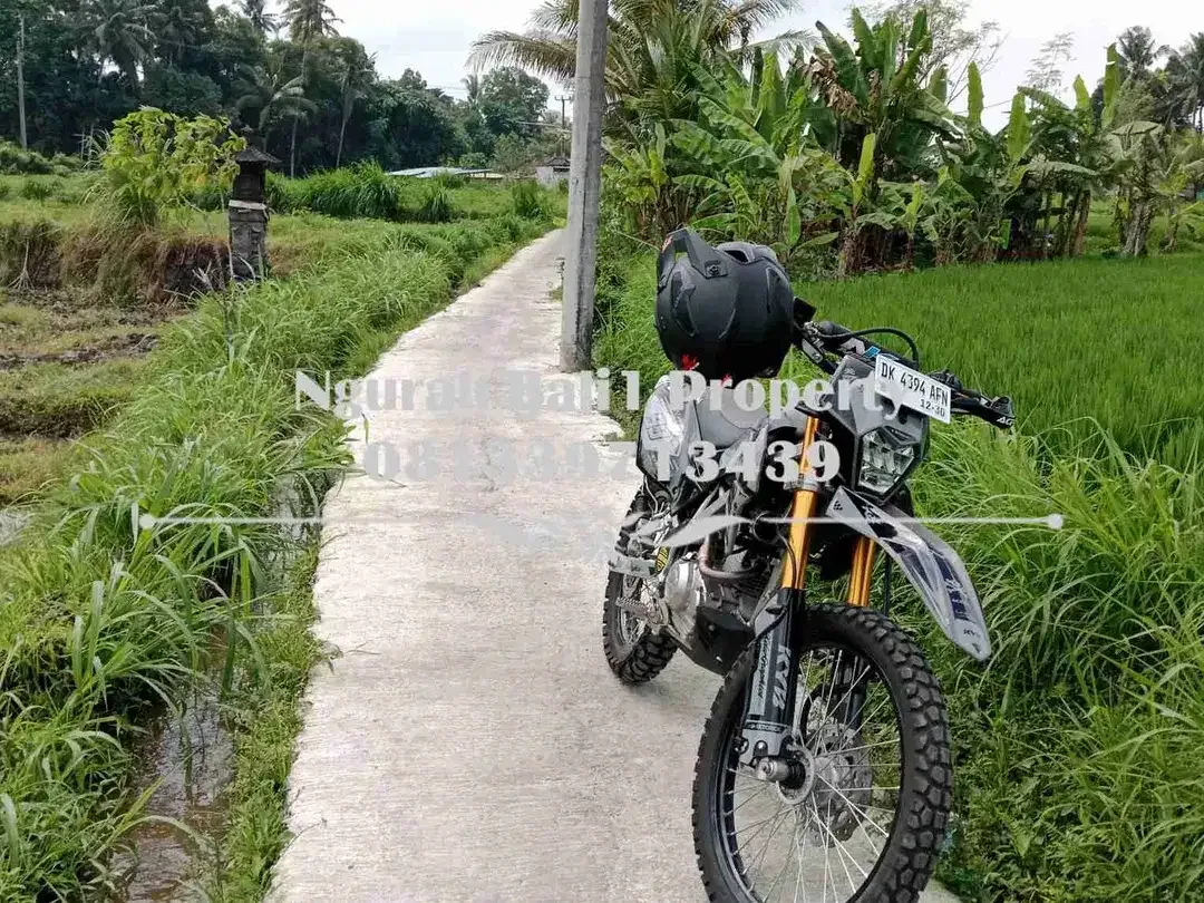Dijual Tanah Murah Luas 645 m2 View Sawah dan Sungai di Ubud Pejeng - Image 7 of 7