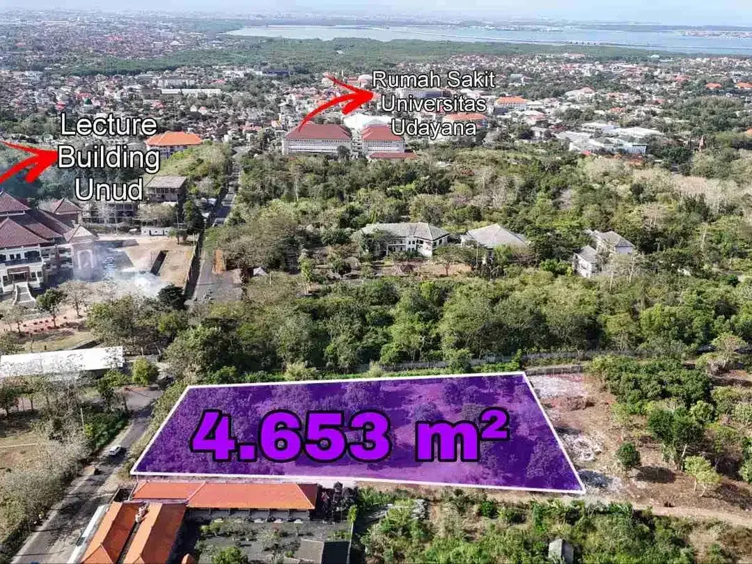 Tanah Murah 4.653m² Akses Jalan Besar Jimbaran - Image 6 of 10