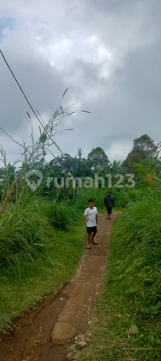5 Ha Bagus Untuk Perkebunan Di Asah Gobleg - Image 1 of 4
