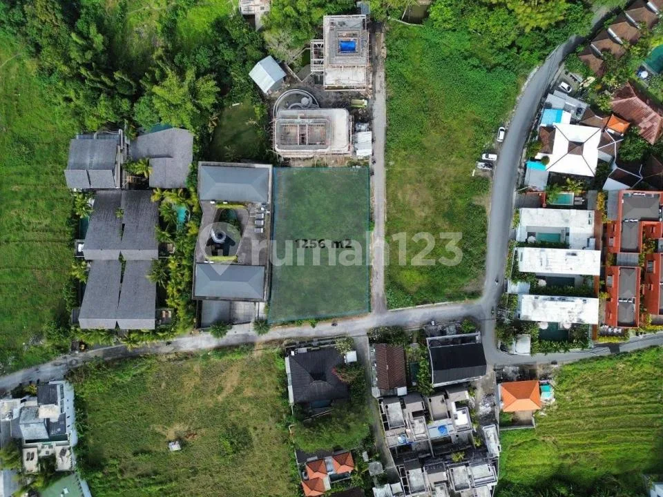 Land Sale Pererenan 1256MÂ² - Pink Zone - Image 2 of 4