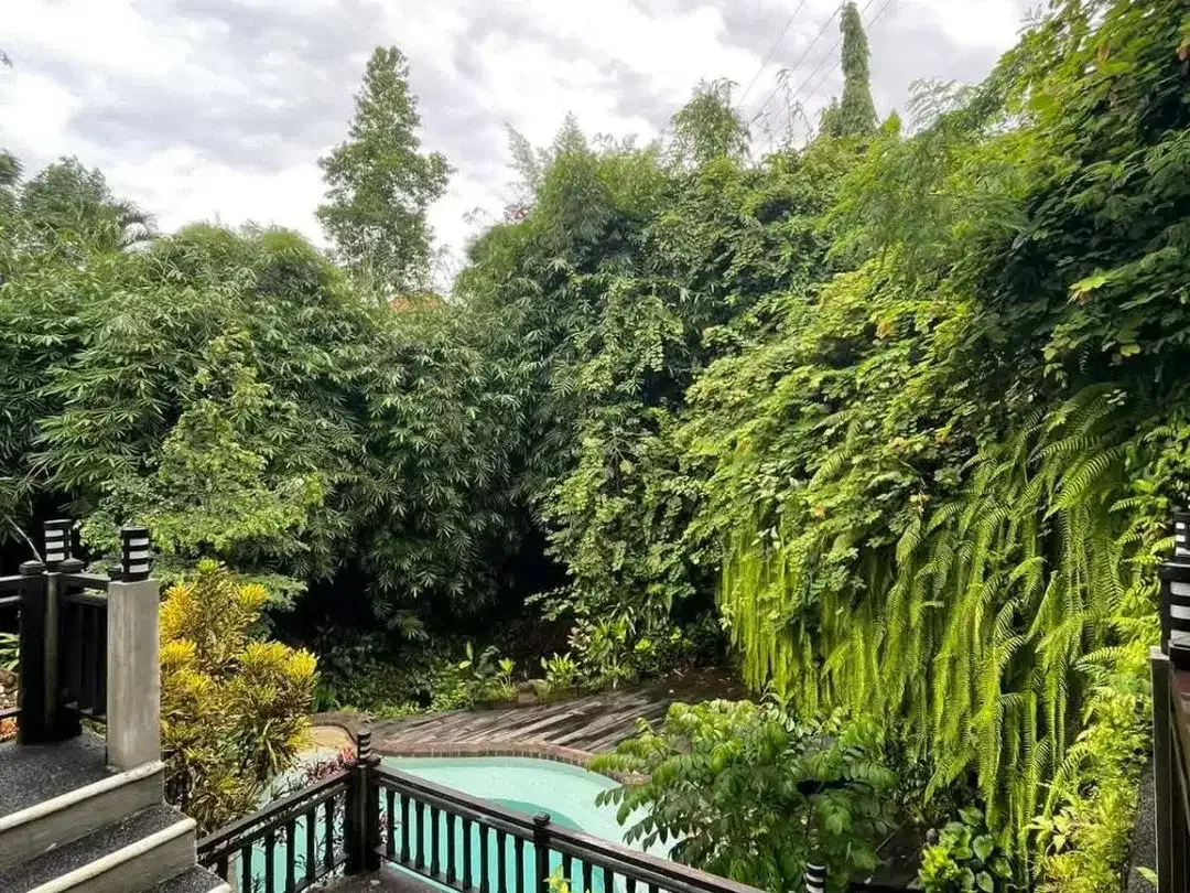 High Spiritual Villa With Exceptional Energy, A Unique Panoramic Garden View And Peaceful Surroundings - Now At A Strongly Reduced Rate - Image 4 of 10