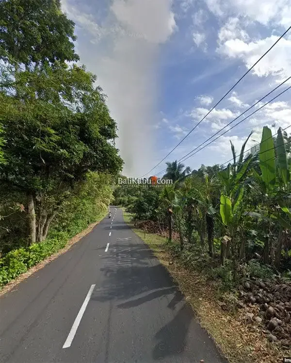 [AMS-015.KWN] Jual Tanah Kebun 1 Ha di Jl Surabrata Selemadeg Tabanan - Image 2 of 7