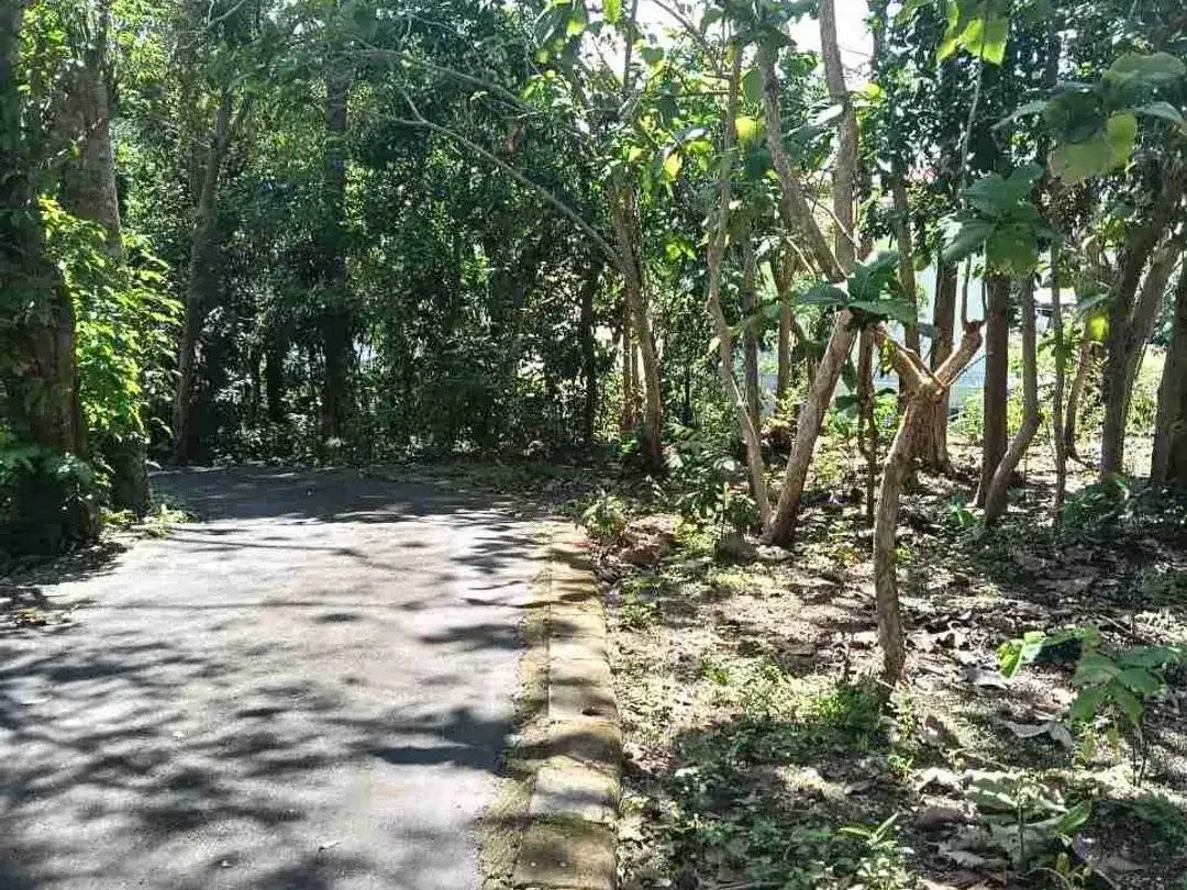 dijual tanah 26,77 are dekat Savaya villa Pecatu IDR 550 juta /are - Image 3 of 10