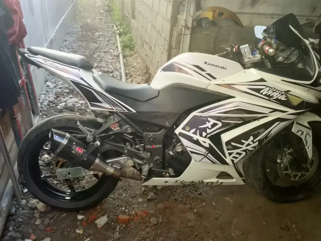 Ninja karbu 250cc - Image 1 of 5