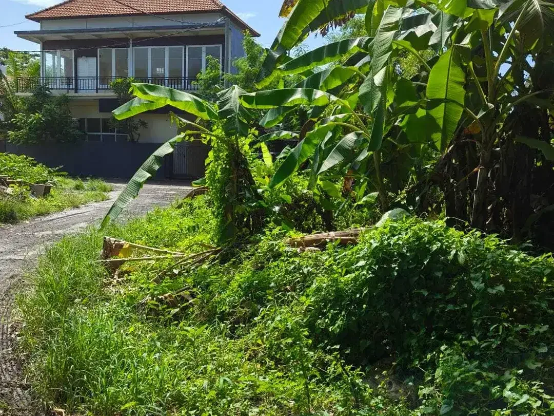 FOR SALE TANAH MURAH LOKASI STARTEGIS AREA SANUR BALI - Image 6 of 8