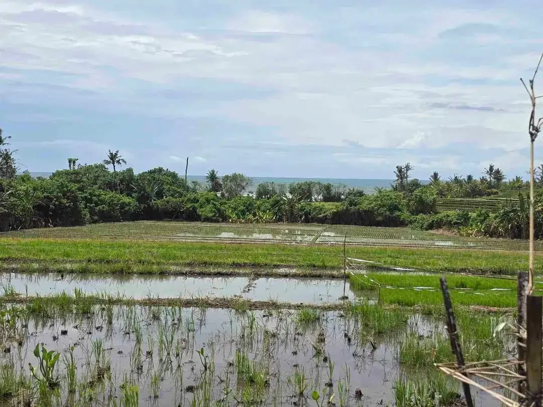 dijual tanah kecil dekat pantai pasut tabanan bali - Image 10 of 10