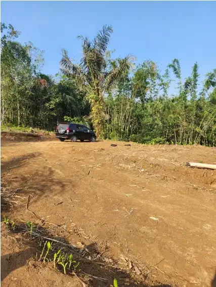 Tanah kavling murah kebun durian penebel Tabanan - Image 6 of 8