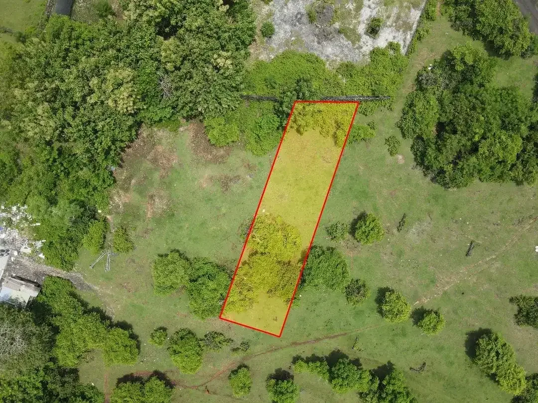 Dijual Tanah MURAH Kawasan Vila di Kutuh - Nusa Dua - Image 7 of 10