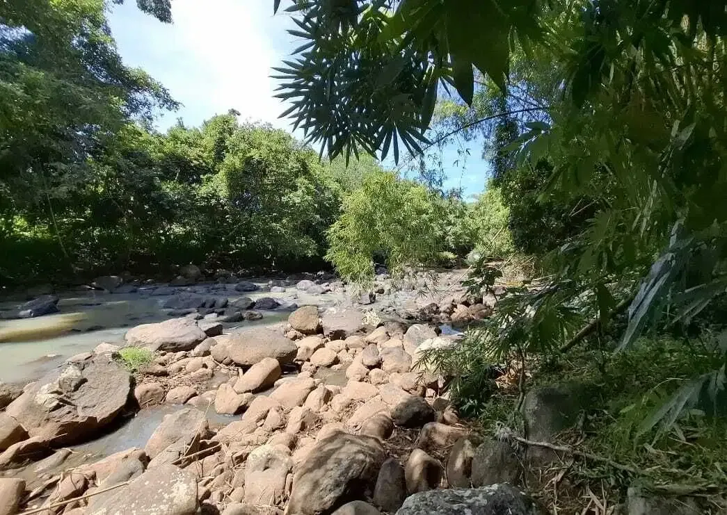 Dijual tanah dekat panta dengan sungai cantik di tabanan bali - Image 3 of 9