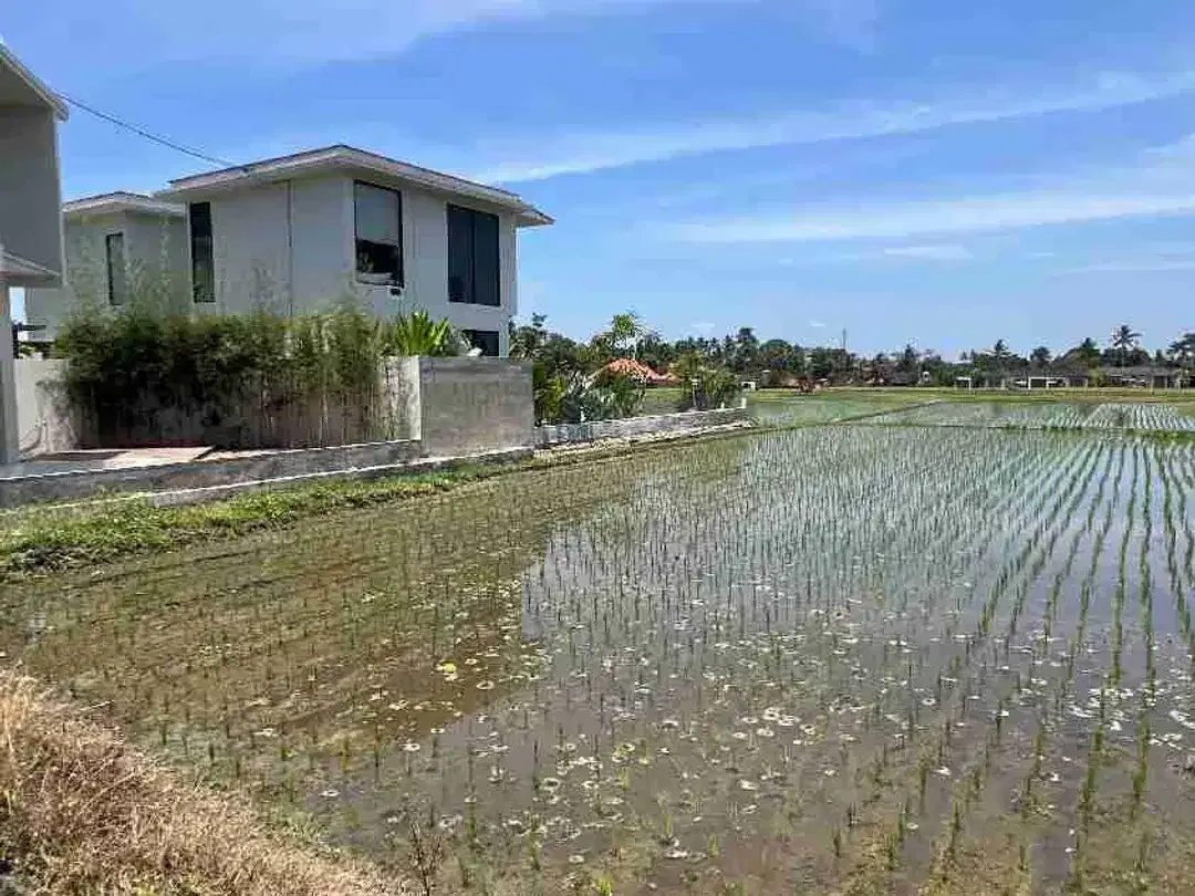 DIJUAL CEPAT TANAH SUPER PREMIUM STRATEGIS LOKASI BERADA DI LOD TUNDUH UBUD GIANYAR BALI. LINGKUNGAN PRIVATE VILLA LAHAN INI SANGAT COCOK DI KAVLING VILLA / DI BUAT KOMPLEKS VILLA / DI BANGUN HOTEL - Image 9 of 10