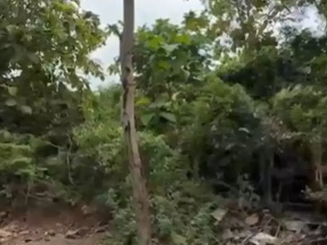 Freehold - Prime Ocean View Land for Sale in Labuan Sait, Pecatu, Uluwatu, Bali - Image 4 of 4