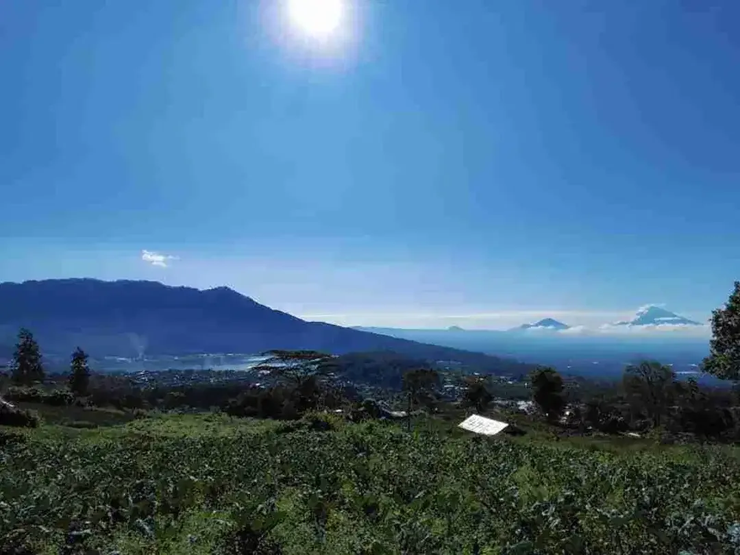 Tanah View Danau dan Kota di Baturiti Bedugul Bali - Image 2 of 9