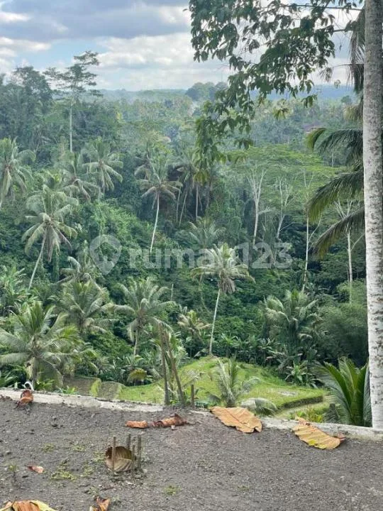 Jual Tanah Bonus 6 Villa Siap Huni Gianyar Ubud - Image 2 of 4