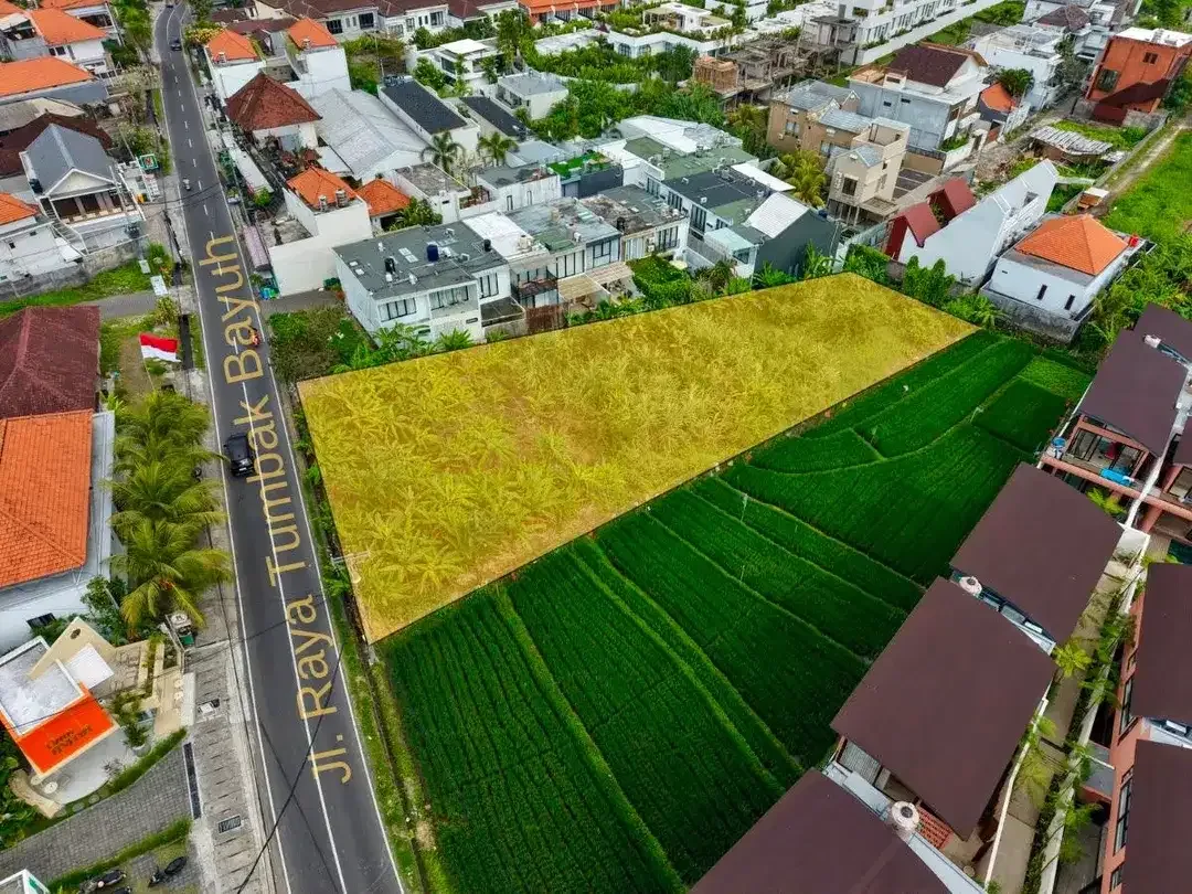 Dijual Tanah Komersil Zona Pink di Canggu Tumbak Bayuh - Image 3 of 8