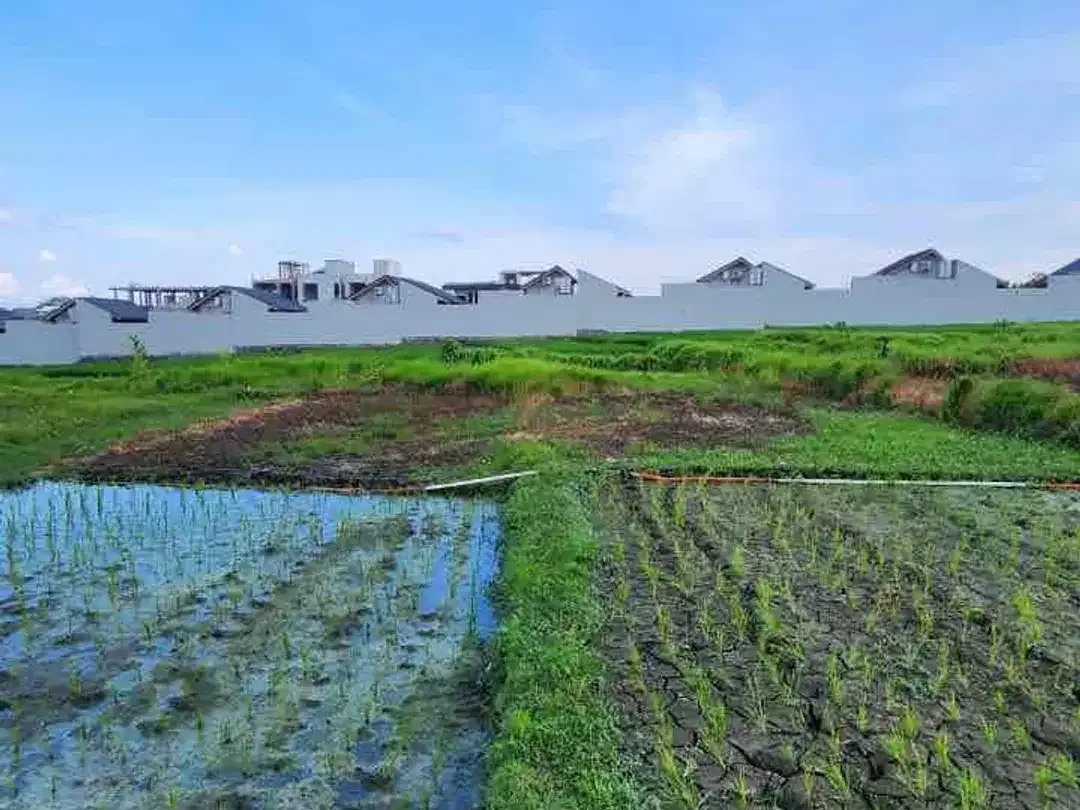 Dijual Tanah Murah di kawasan Pantai Seseh - Image 4 of 7