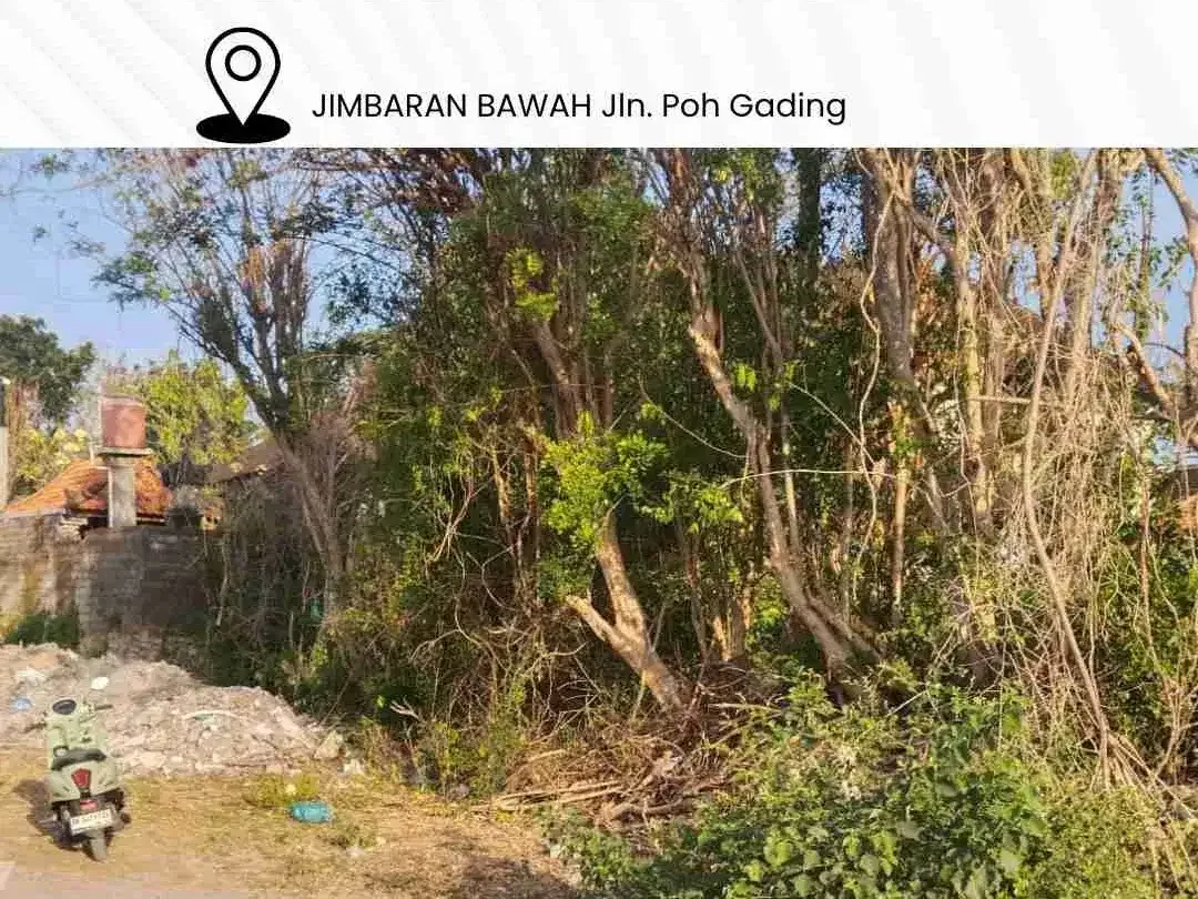 DIJUAL TANAH JIMBARAN BAWAH Jln. Poh Gading / Dekat Mcdonald & KFC Jimbaran - Bali. - Image 1 of 5