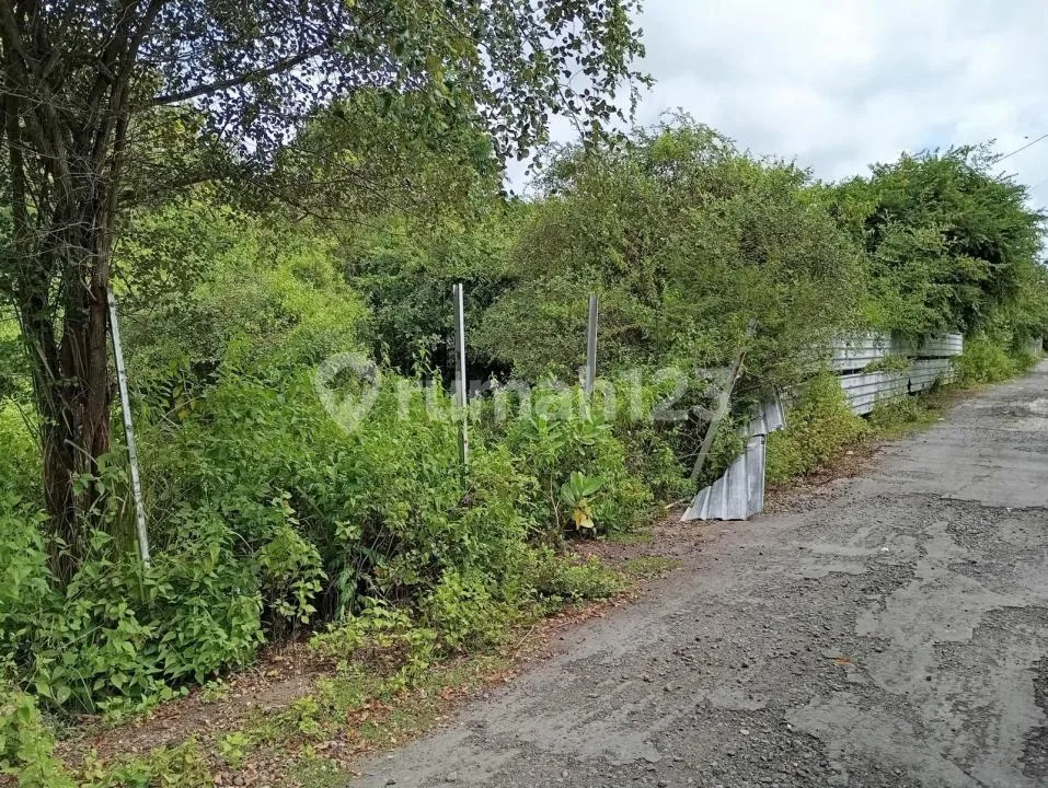 Dijual Tanah 20 Are Ungasan Bali - SHM - Area Villa dan Hotel - Image 1 of 3