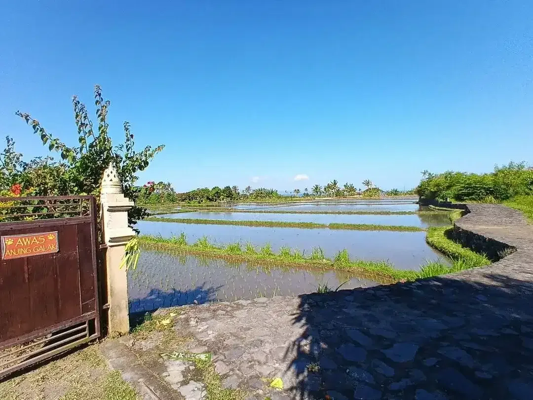 Ocean, Rice Fields & Mountain Views - Image 3 of 8