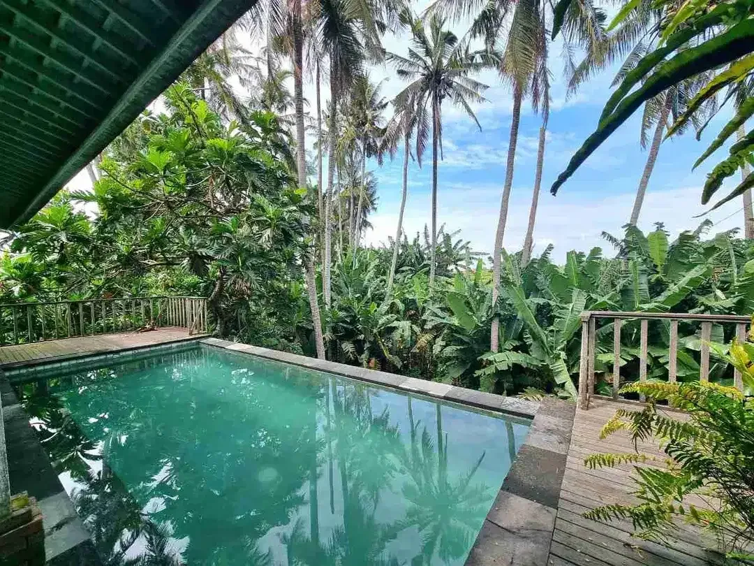 Luxury Villa Classic View Sawah dan Sungai Pantai Purnama - Image 9 of 10
