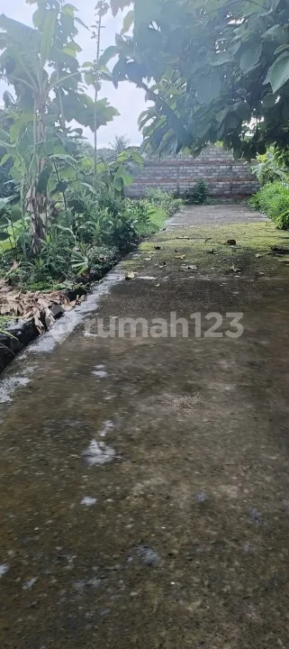 Di Jual 5 Are Lahan Dekat Kota Dan Pantai Di Lovina Bali - Image 2 of 4