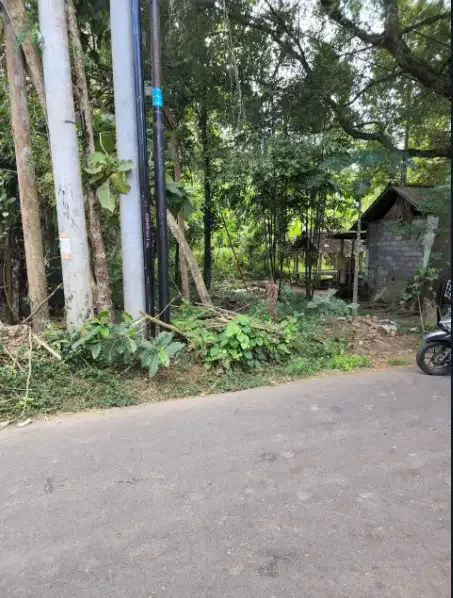 Disewakan tanah murah 4 hektar di Gianyar - Image 4 of 10